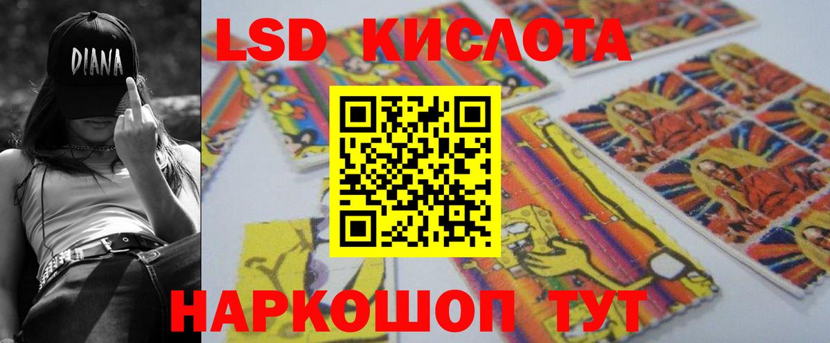Галлюциногенные грибы Карачаевск