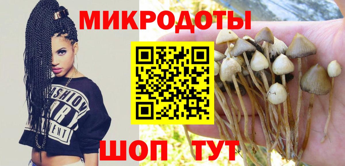 Галлюциногенные грибы MAGIC MUSHROOMS  где найти наркотики  Карачаевск  Галлюциногенные грибы мицелий  Вход с VPN 